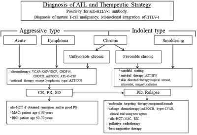 Progress in Allogeneic Hematopoietic Cell Transplantation in Adult T-Cell Leukemia-Lymphoma